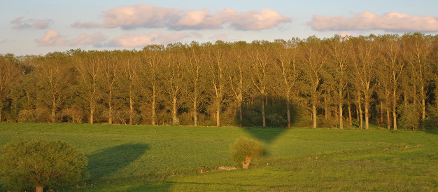 unieke belevening ballonvaart